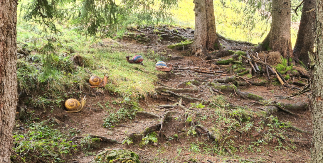 Colemen Traditionell intuitiv Bogenschießen, 3D Bogenparcours Allgäu Bolsterlang