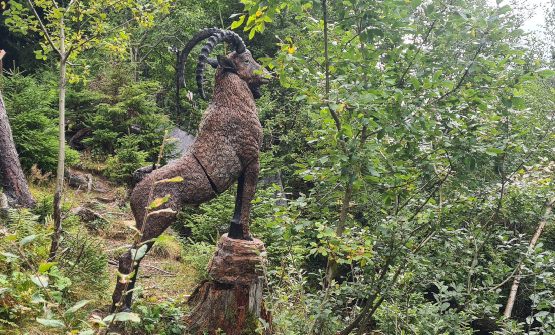 Colemen Traditionell intuitiv Bogenschießen, 3D Bogenparcours Allgäu Bolsterlang