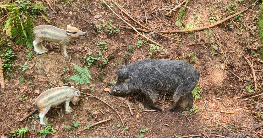 Colemen Traditionell intuitiv Bogenschießen, 3D Bogenparcours Allgäu Bolsterlang