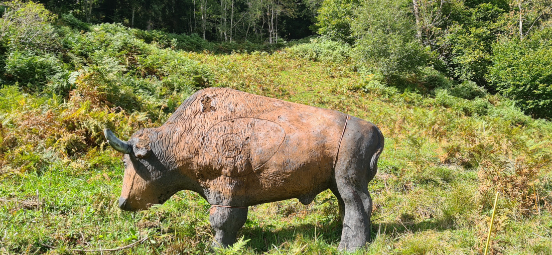 Colemen Traditionell intuitiv Bogenschießen, 3D Bogenparcours Allgäu Bolsterlang