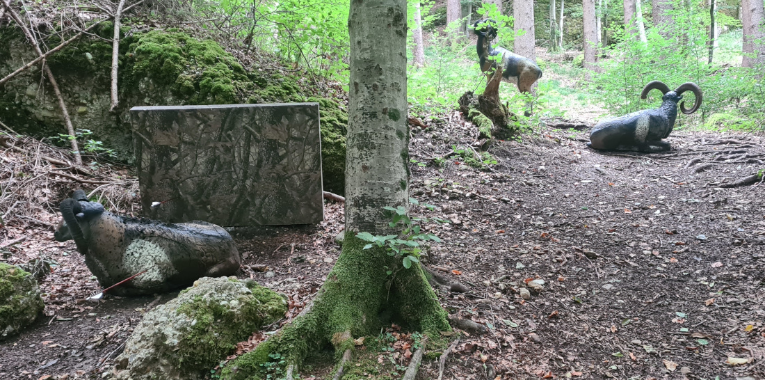 Colemen Traditionell intuitiv Bogenschießen, 3D Bogenparcours Bogen Sehne Immenstadt