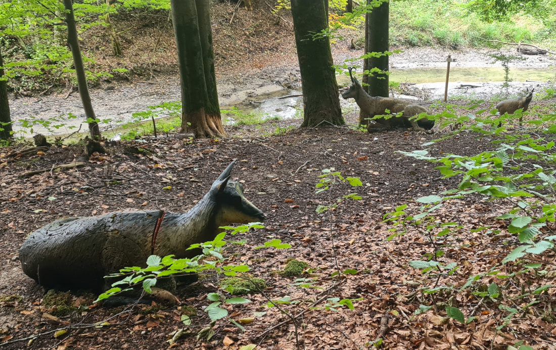 Colemen Traditionell intuitiv Bogenschießen, 3D Bogenparcours Bogen Sehne Immenstadt