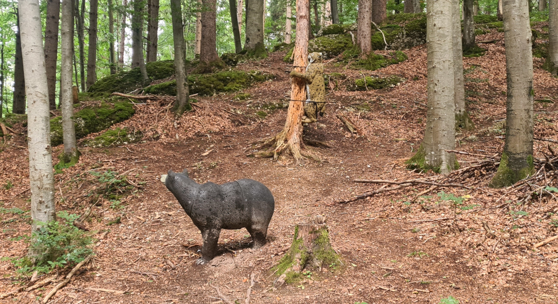 Colemen Traditionell intuitiv Bogenschießen, 3D Bogenparcours Bogen Sehne Immenstadt