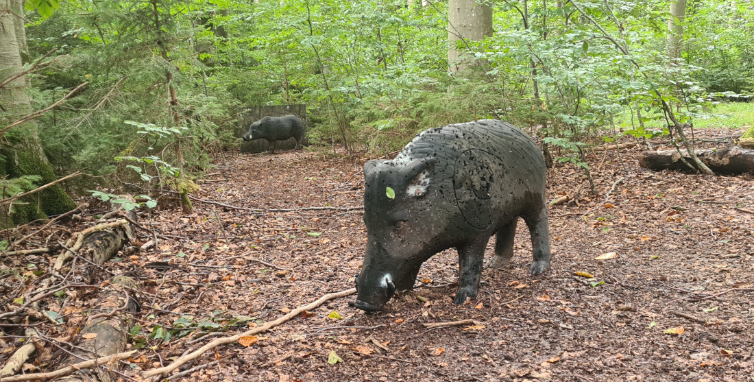 Colemen Traditionell intuitiv Bogenschießen, 3D Bogenparcours Bogen Sehne Immenstadt
