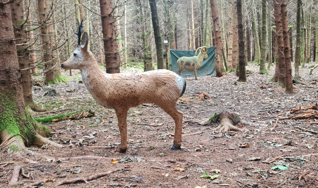 Colemen Traditionell intuitiv Bogenschießen, 3D Bogenparcours Bogen Sehne Immenstadt