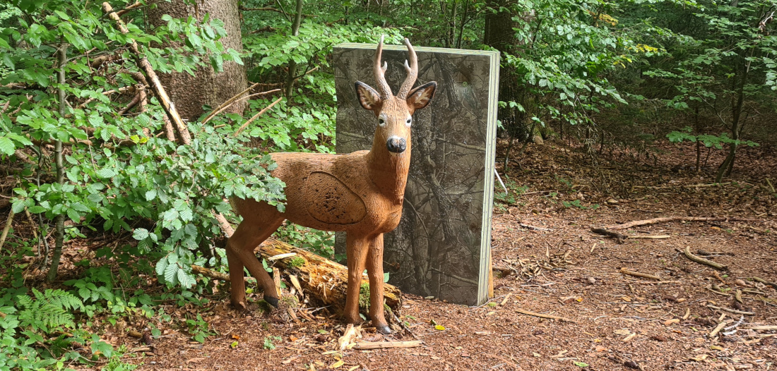 Colemen Traditionell intuitiv Bogenschießen, 3D Bogenparcours Bogen Sehne Immenstadt