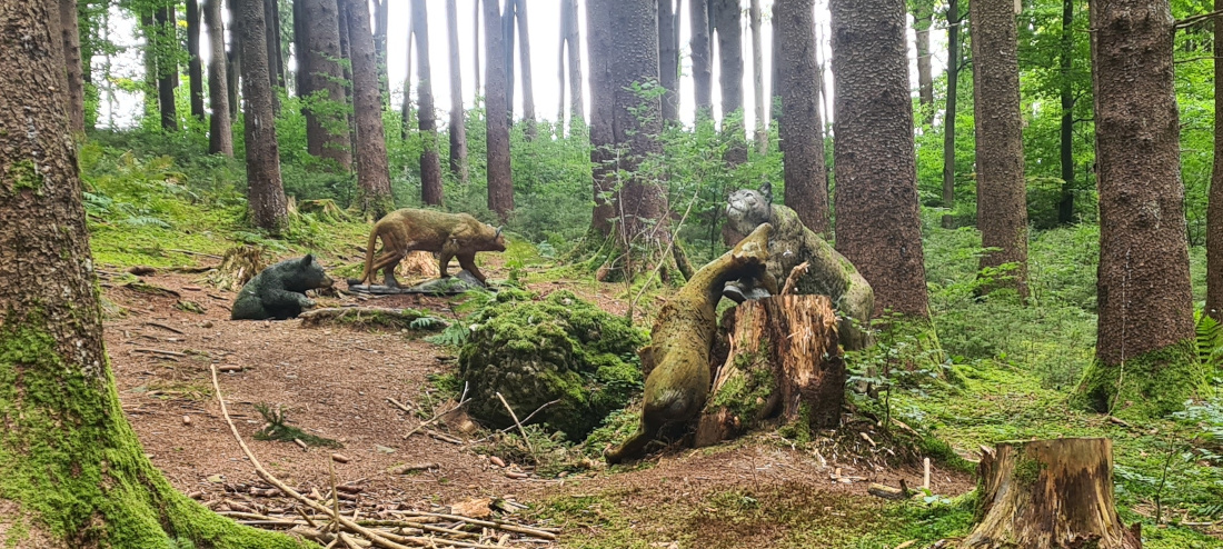 Colemen Traditionell intuitiv Bogenschießen, 3D Bogenparcours Bogen Sehne Immenstadt