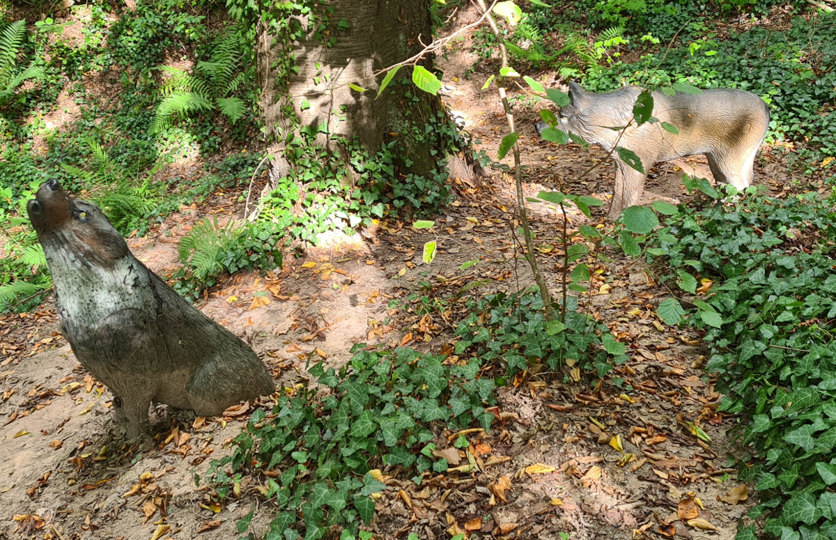 Colemen Traditionell intuitiv Bogenschießen, 3D Bogenparcours Collenberg