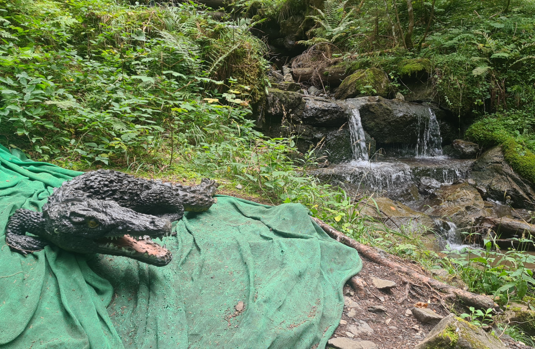 Colemen Traditionell intuitiv Bogenschießen, 3D Bogenparcours Höllschlucht Pfronten