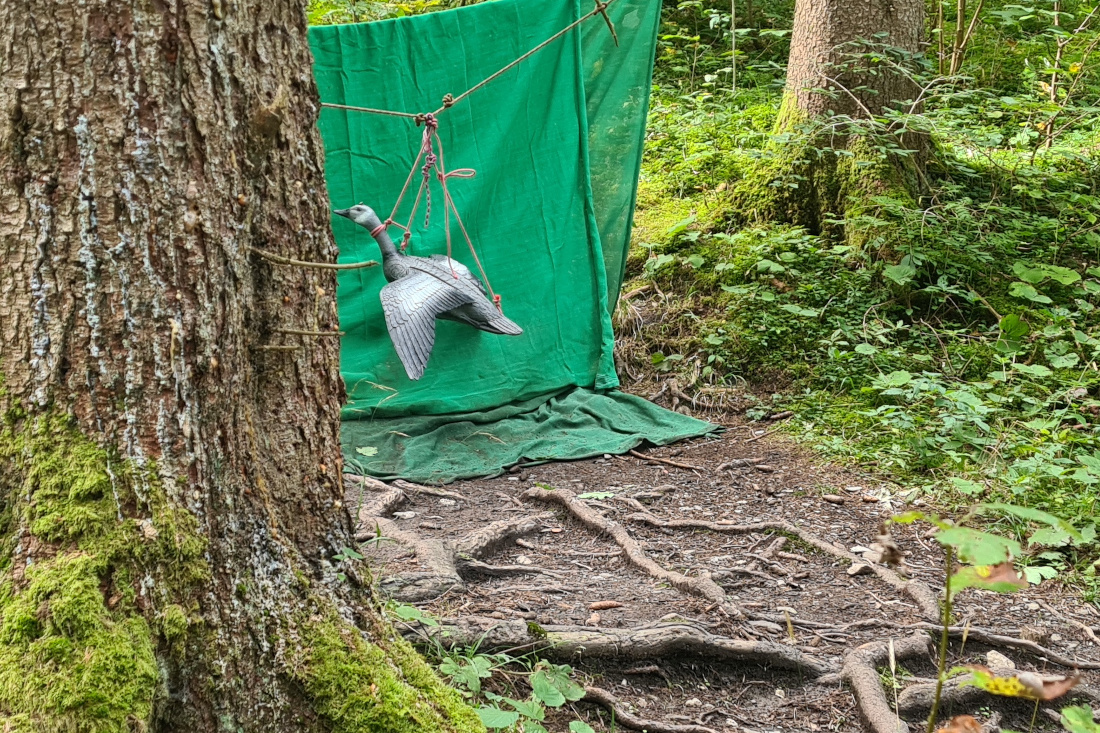 Colemen Traditionell intuitiv Bogenschießen, 3D Bogenparcours Höllschlucht Pfronten
