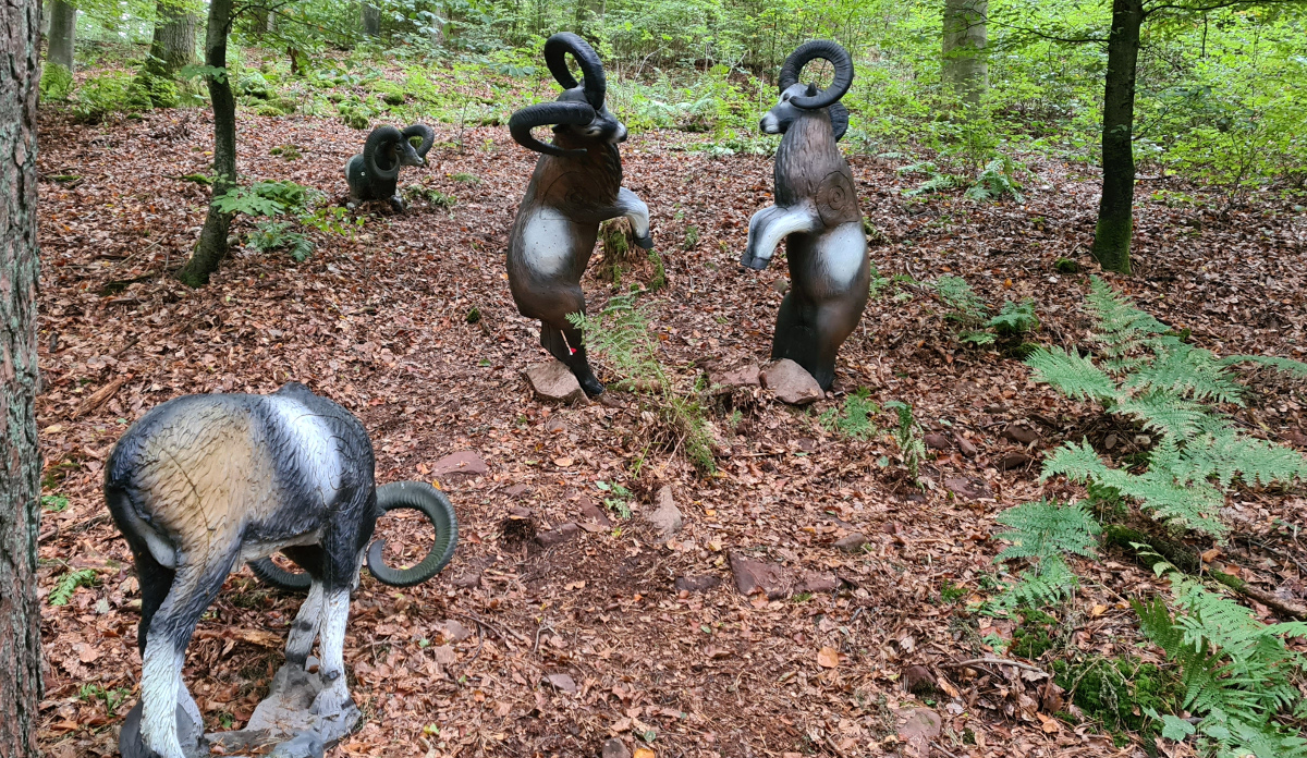 Colemen Traditionell intuitiv Bogenschießen, 3D Bogenparcours Kummersklinge