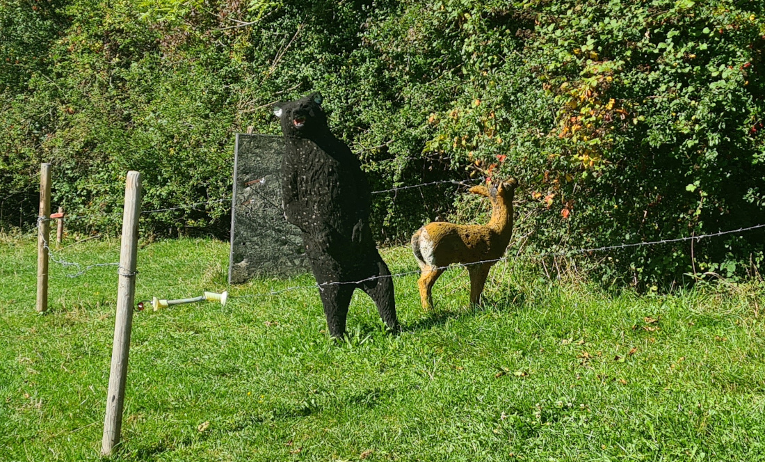 Colemen Traditionell intuitiv Bogenschießen, 3D Bogenparcours Martinszell