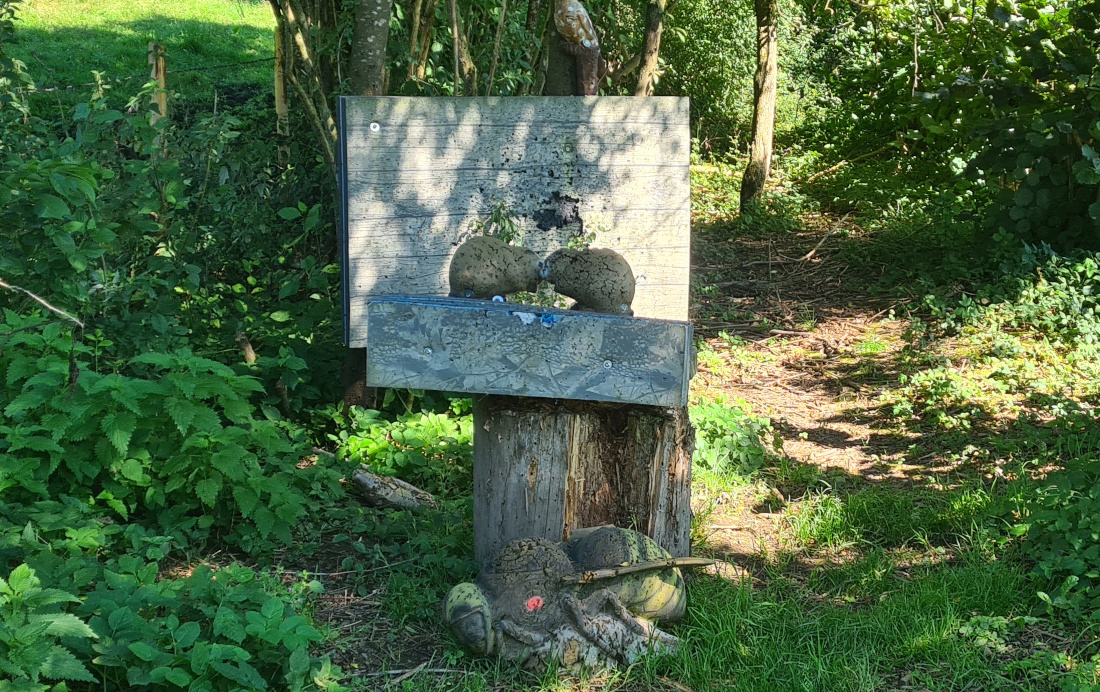 Colemen Traditionell intuitiv Bogenschießen, 3D Bogenparcours Martinszell