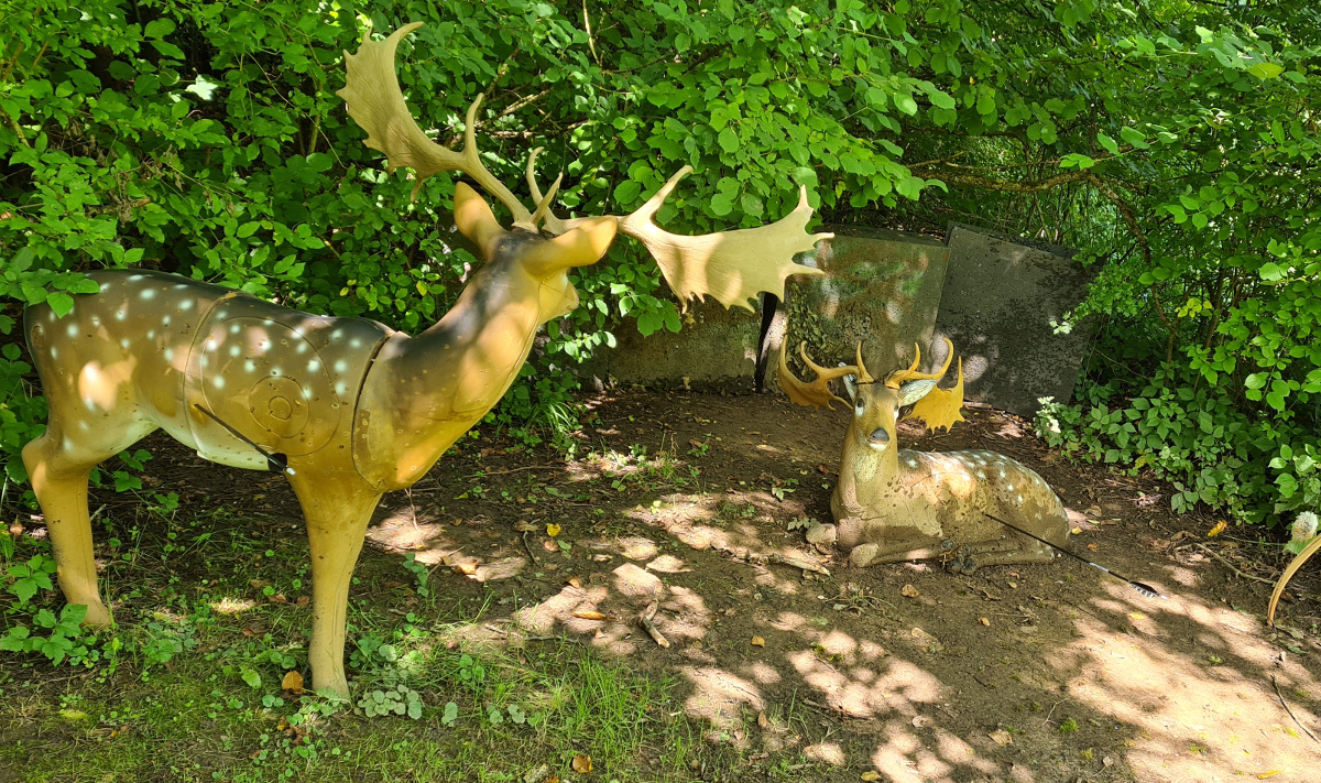 Colemen Traditionell intuitiv Bogenschießen, 3D Bogenparcours Ox Bow