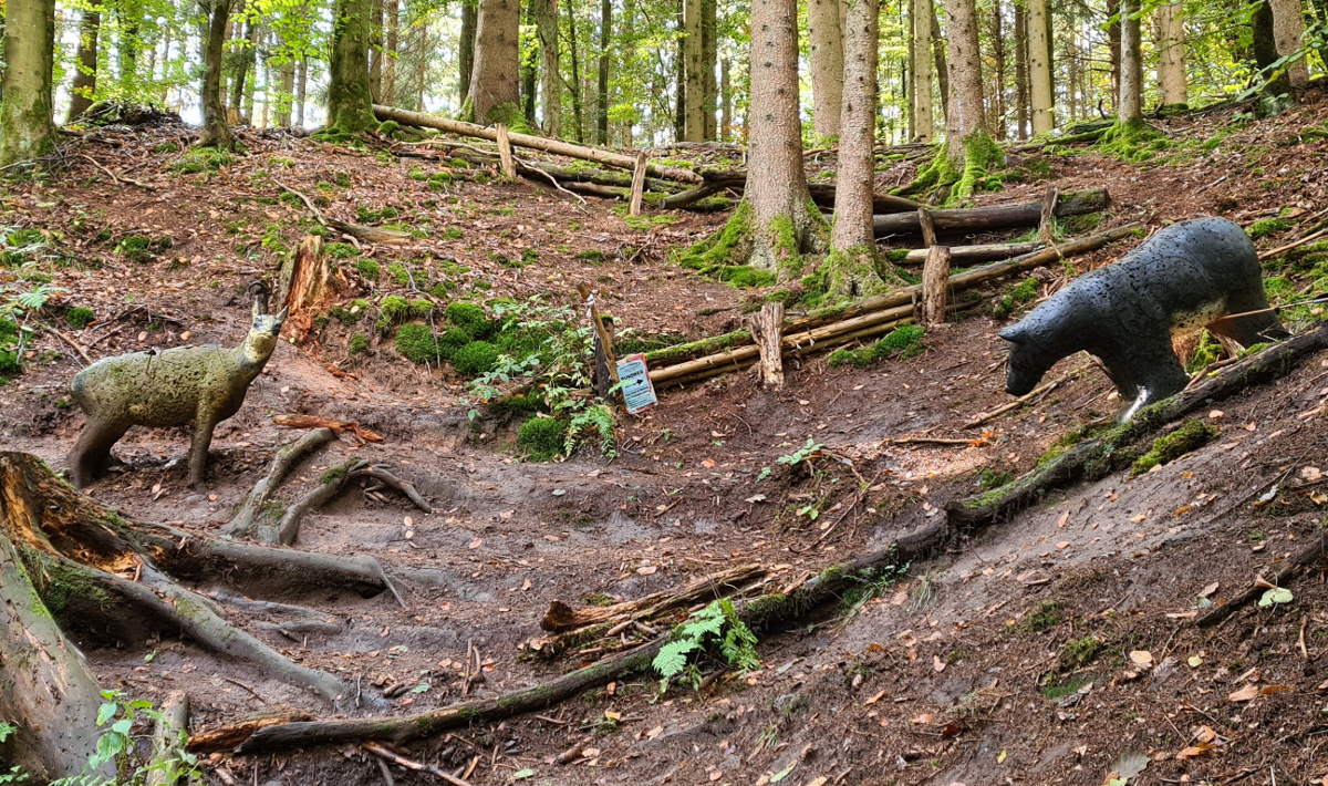 Colemen Traditionell intuitiv Bogenschießen, 3D Bogenparcours Saurier Park