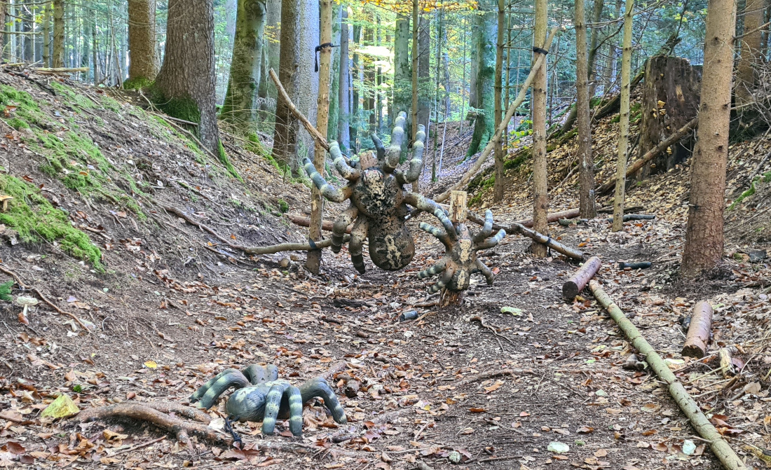 Colemen Traditionell intuitiv Bogenschießen, 3D Bogenparcours Wolfertsfeld