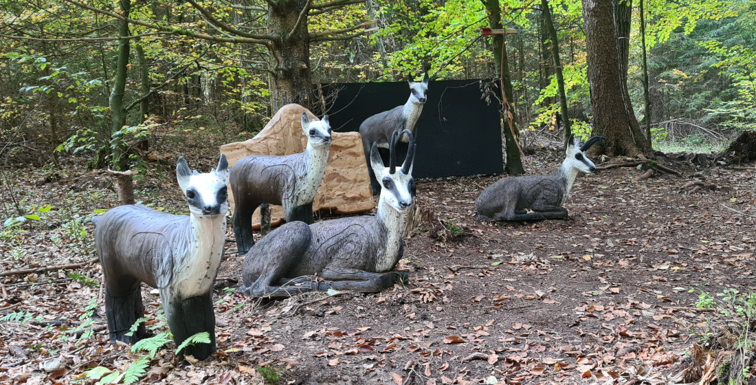 Colemen Traditionell intuitiv Bogenschießen, 3D Bogenparcours Wolfertsfeld