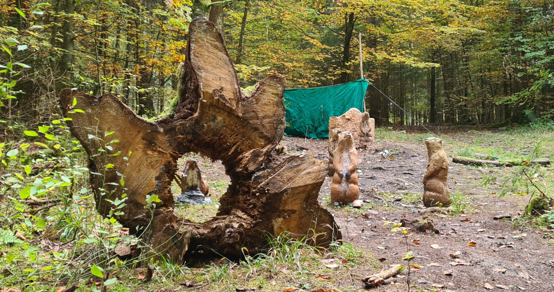 Colemen Traditionell intuitiv Bogenschießen, 3D Bogenparcours Wolfertsfeld