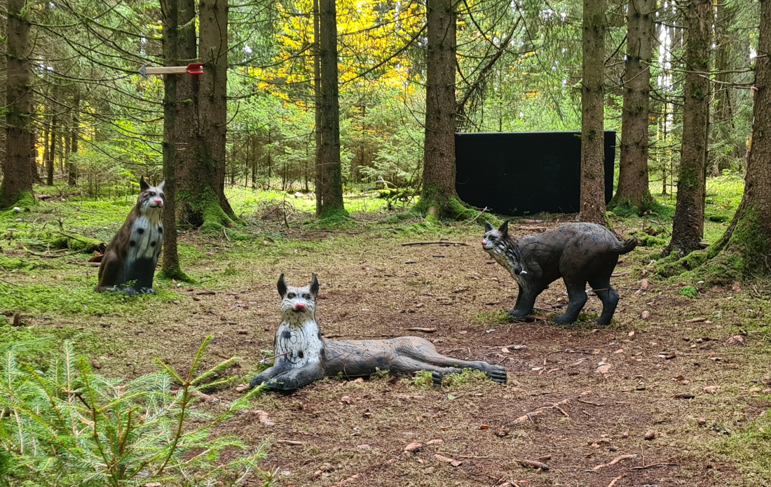 Colemen Traditionell intuitiv Bogenschießen, 3D Bogenparcours Wolfertsfeld