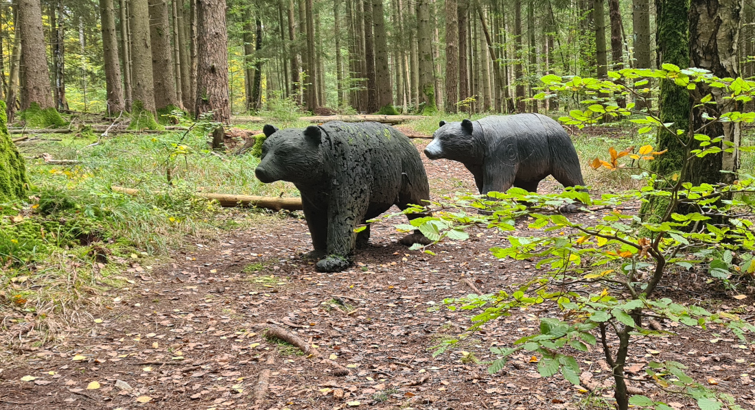 Colemen Traditionell intuitiv Bogenschießen, 3D Bogenparcours Wolfertsfeld