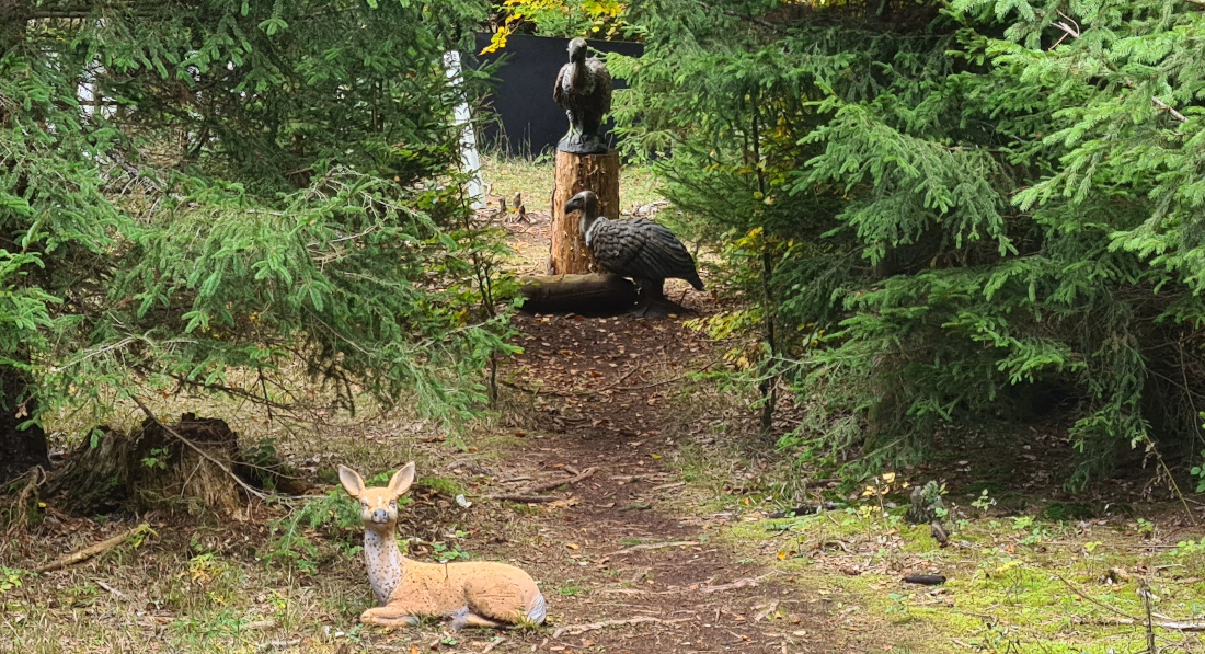 Colemen Traditionell intuitiv Bogenschießen, 3D Bogenparcours Wolfertsfeld