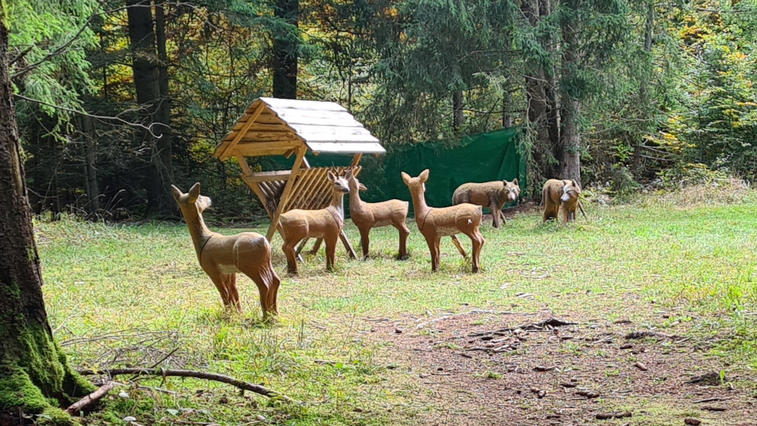 Colemen Traditionell intuitiv Bogenschießen, 3D Bogenparcours Wolfertsfeld