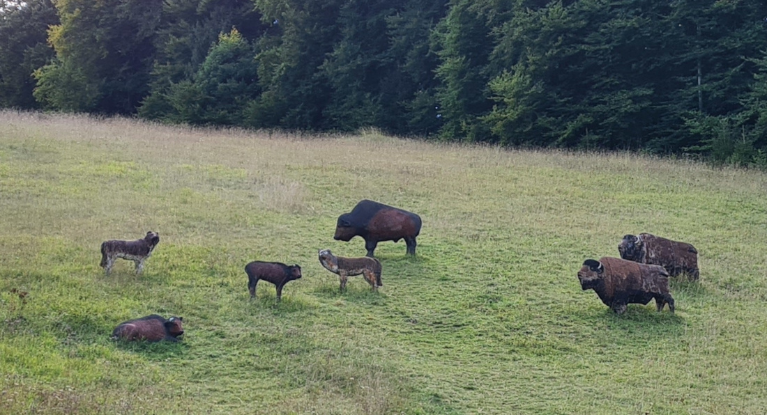 Colemen Traditionell intuitiv Bogenschießen, 3D Bogenparcours Yukon