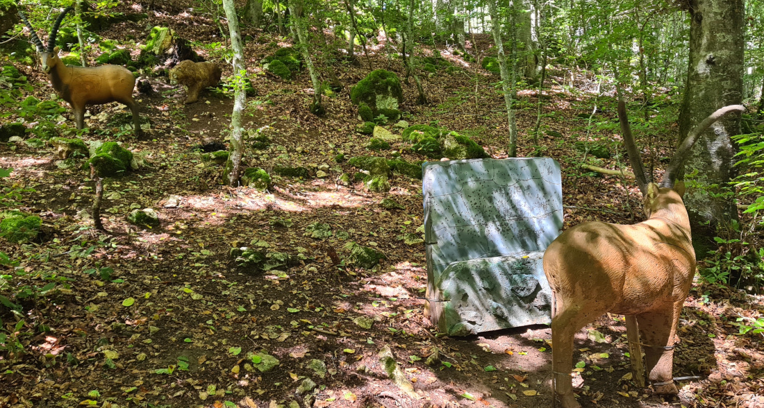 Colemen Traditionell intuitiv Bogenschießen, 3D Bogenparcours Yukon