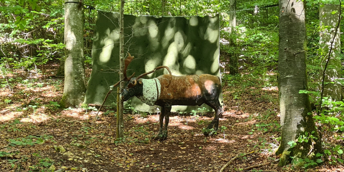 Colemen Traditionell intuitiv Bogenschießen, 3D Bogenparcours Yukon