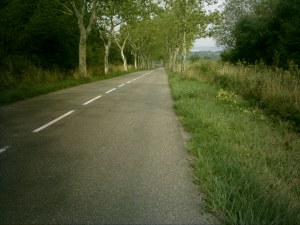 allee