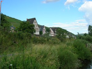 weinberge