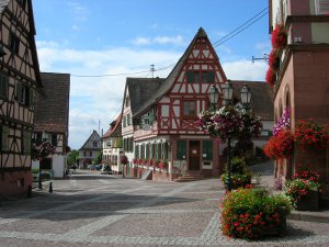 vosges