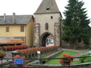 tor