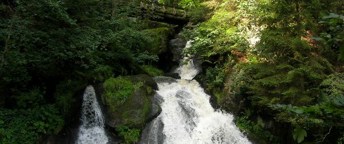 schwarzwald