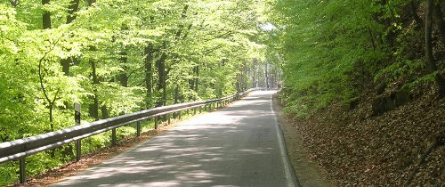 pfalz